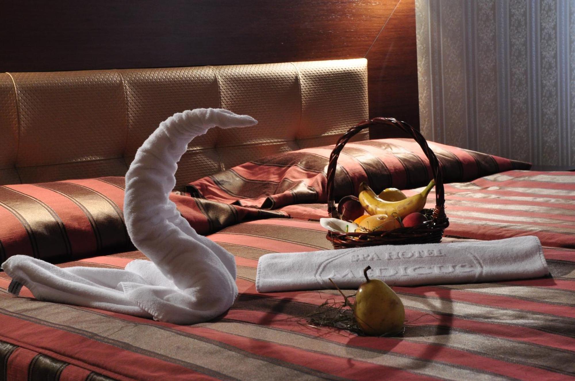 Spa Hotel Medicus Varshets  Εξωτερικό φωτογραφία
