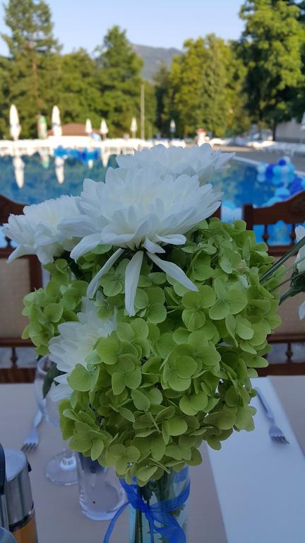 Spa Hotel Medicus Varshets  Εξωτερικό φωτογραφία